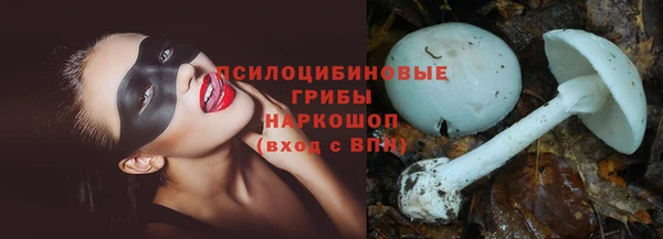 дурь Верхний Тагил