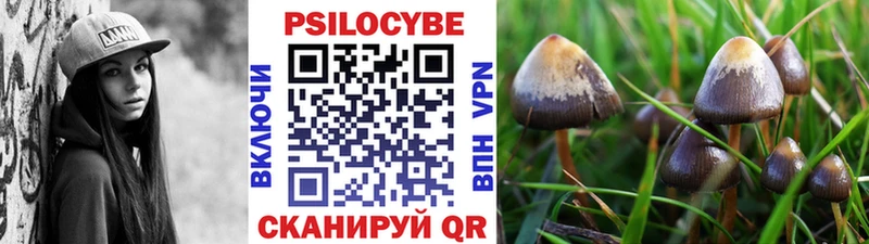 Псилоцибиновые грибы Psilocybe  где можно купить наркотик  Петрозаводск 